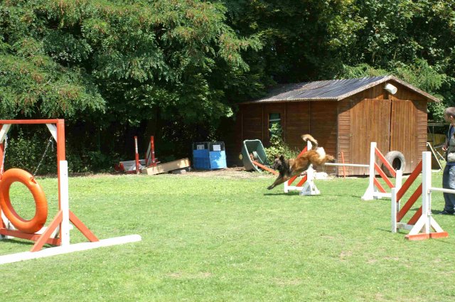 agility 2011-07-24